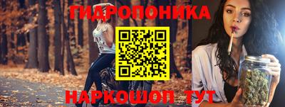 крисы Мариинск