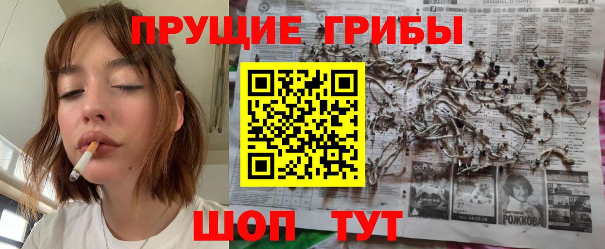 Псилоцибиновые грибы мухоморы Чита